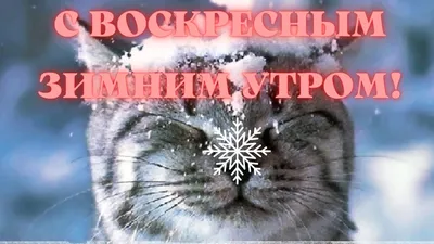 Воскресным зимним днём