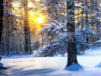 Картинки - С добрым зимним утром Воскресенья! (57 фото)