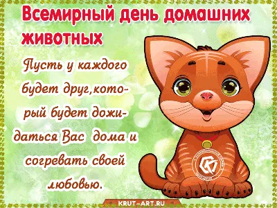 1 марта -Всемирный День Кошки!!!