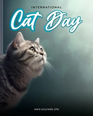 День кошек 2022 - картинки, поздравления и открытки - Главред