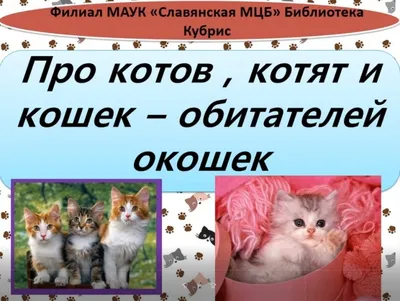 1 марта - Всемирный день кошек | ГБУЗ \"Самарский областной клинический  противотуберкулезный диспансер имени Н.В.Постникова\"