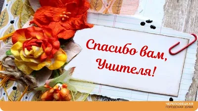 Картинка с международным днем спасибо | Открытки, Поздравительные открытки,  Картинки