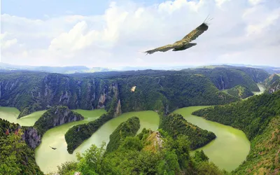 Природа с высоты птичьего полета (58 фото) - 58 фото