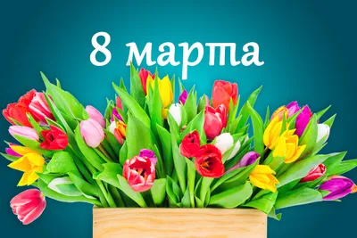 C Международным женским днём 8 марта!