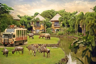 The best locally-owned safari camps in Africa | CN Traveller