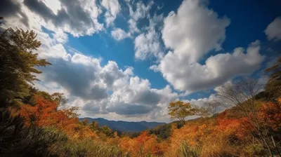 осенний лес в префектуре сайтама фото, красивое осеннее небо с множеством  облаков, Hd фотография фото, облако фон картинки и Фото для бесплатной  загрузки