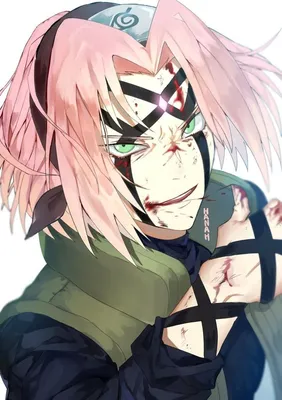 Харуно Сакура | Бьякуго🌸 | Naruto shippuden anime, Sakura haruno, Anime  naruto