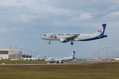 Самолет «Азимута» совершил тестовый рейс в закрытый аэропорт Краснодара —  РБК
