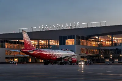 Летевший в Москву самолет вернулся в аэропорт из-за проблем с двигателем —  РБК