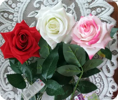 Красивые розы. Фото самых красивых видов и сортов роз