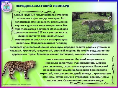 В каких столичных парках можно увидеть редких животных - Российская газета