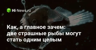 Одну их самых опасных рыб в мире показали на видео в Воронеже
