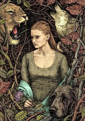 sansa stark art by deniz maznev | Game of thrones art, Game of thrones  poster, Sansa stark art