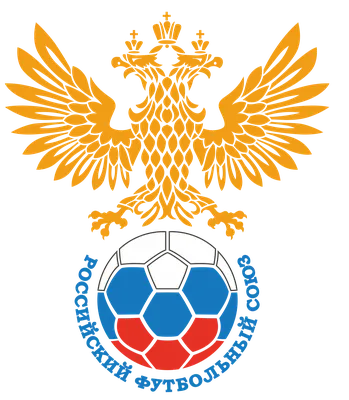 Дюков не исключил, что сборная России по футболу в будущем может провести  турне по Южной Америке