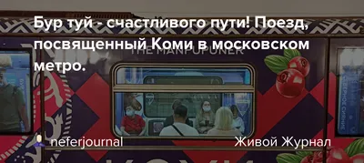 Астраханцам объяснили, как вернуть забытые в поездах вещи | Газета ВОЛГА