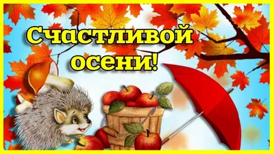 Счастливой Осени, друзья! #счастливойосени #владаалматы | TikTok