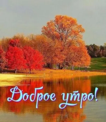 С добрым осенним утром! - Осень /Autumn - GIF АНИМАЦИЯ - Анимация - Страна  красоты Gif в 2023 г | Святой дух, Доброе утро, Анимация