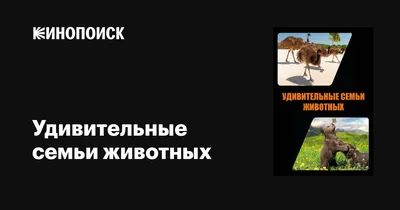 Удивительные семьи животных (сериал, 1 сезон, все серии), 2019-2020 —  описание, интересные факты — Кинопоиск