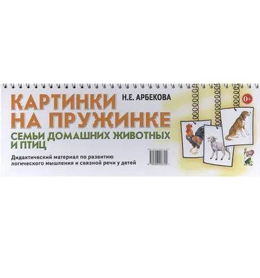 Белка-летяга, африканский ёж, сурикат и другие: 12 экзотических животных  семьи Борисовых – Фотогалерея, фото 1 - MySlo.ru