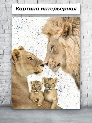 Картинки семья львов фото