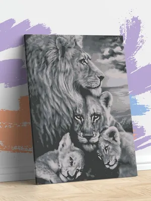 Семья львов. Обои с животными, картинки, фото 800x600
