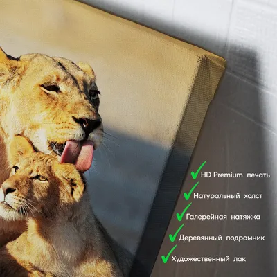 Картина по номерам 40х50 Семья львов - купить с доставкой по выгодным ценам  в интернет-магазине OZON (1218970173)