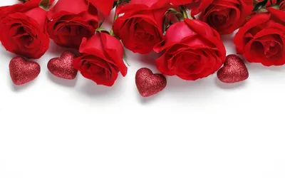 Красивые розы и бумажные сердечки на белом фоне :: Стоковая фотография ::  Pixel-Shot Studio
