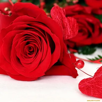 Пазл розы и сердечки - разгадать онлайн из раздела \"Другое\" бесплатно