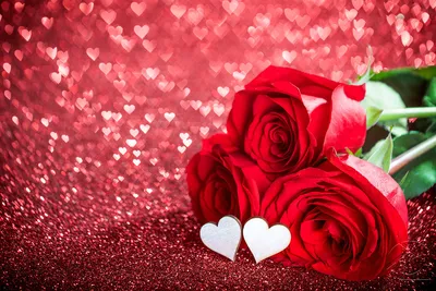 Букет темно-красных роз и сердечки лежащие на белом фоне. Stock Photo |  Adobe Stock
