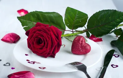 красивые красные розы бумажные сердечки и поле подарка на темном столовом  пространстве для текста. корм. празднование валентинског Стоковое  Изображение - изображение насчитывающей февраль, лепестки: 216494285