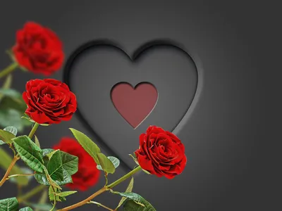 Картины \"Букет роз и сердечки\" - Арт. 014510010 | Купить в  интернет-магазине Фото в дом - Фото в дом