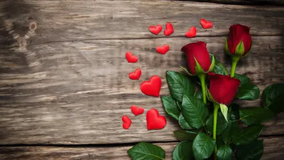 розовые цветы иллюстрация, Садовые розы Сентифолия розы Цветочный дизайн  Розовые срезанные цветы, Сердце красных роз, Цветочная композиция,  искусственный цветок, сердечки png | PNGWing
