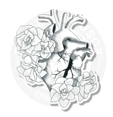 Черно-белое Сердце, Белое Сердце с, любовь, белый, текст png | PNGWing