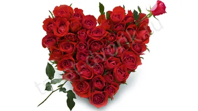 Сердце из роз со стрелой. Подарите любимому человеку сердце из ароматных роз