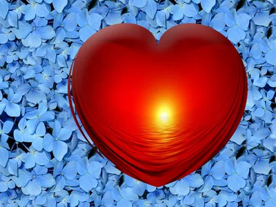 Поздравительная открытка сердце | купить открытку сердечко