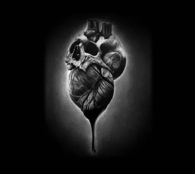 Человеческие руки делают сердце на черном фоне :: Стоковая фотография ::  Pixel-Shot Studio