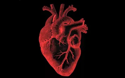 Красное Сердце На Черном Фоне Блеск — стоковые фотографии и другие картинки  Абстрактный - Абстрактный, Без людей, Блестящий - iStock