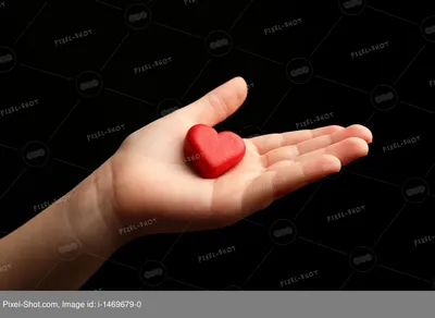 Сердце в руках ` s ребенка стоковое изображение. изображение насчитывающей  пожертвование - 83949975