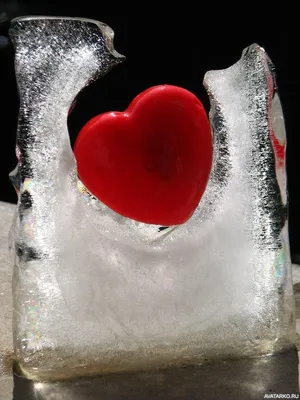 Картинки сердце во льду фото