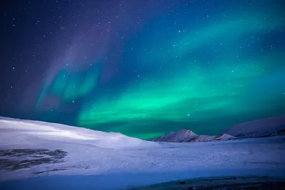 Затерянные во льдах, или Обычное путешествие на Северный полюс –  Коммерсантъ FM