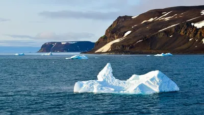 На Северном полюсе зафиксировали рекордно высокую температуру