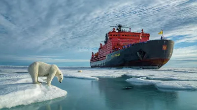 Челябинские школьники снова готовятся покорить Северный полюс