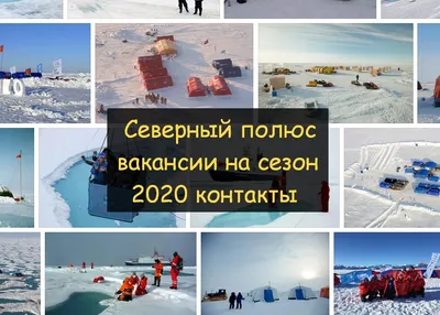 Китайских туристов повезут на Северный полюс на российском атомоходе - РИА  Новости, 27.10.2023