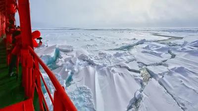Туры на Северный Полюс на ледоколе, вертолёте — цены 2023–2024
