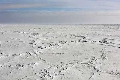 Северный полюс — Викицитатник