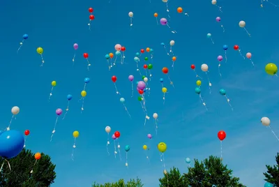 Воздушные шарики \"Поздравления педагогу\" купить по цене 160.00 руб. в  Екатеринбурге | Интернет-магазин Академия чудес