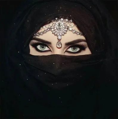 Жены арабских шейхов как выглядят и чем занимаются - фото | OBOZ.UA