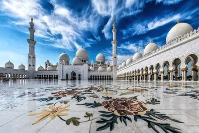 ОАЭ открывают глаза»: как исламоведы России помогли утолить любопытство  арабских шейхов