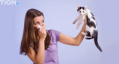 Аллергия на животных: причины, симптомы, диагностика, лечение и профилактика