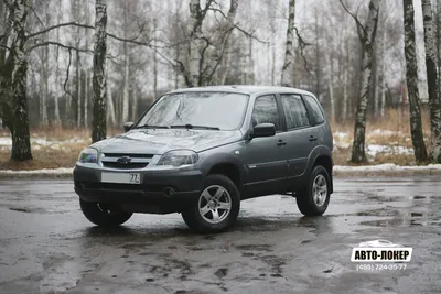 Пять причин любить и ненавидеть Chevrolet Niva - КОЛЕСА.ру – автомобильный  журнал